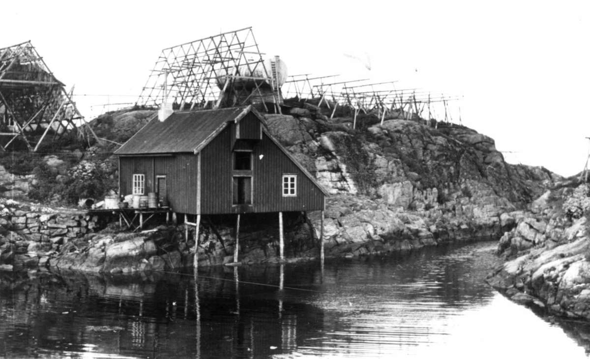 Å i Moskenes
Fra dr. Eivind S. Engelstads storgårdsundersøkelser 1954.
