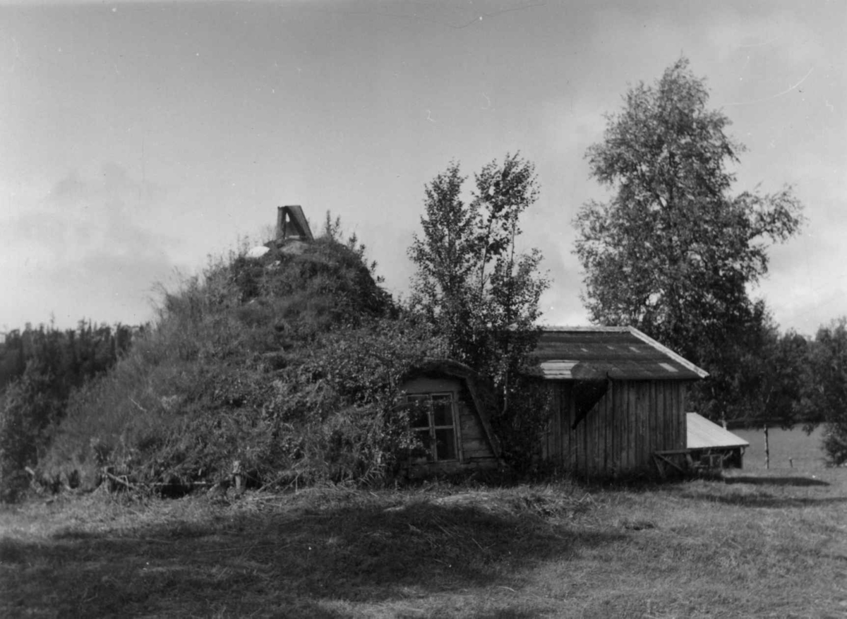 Gamme med bislag, Ottsjölägret 1964.