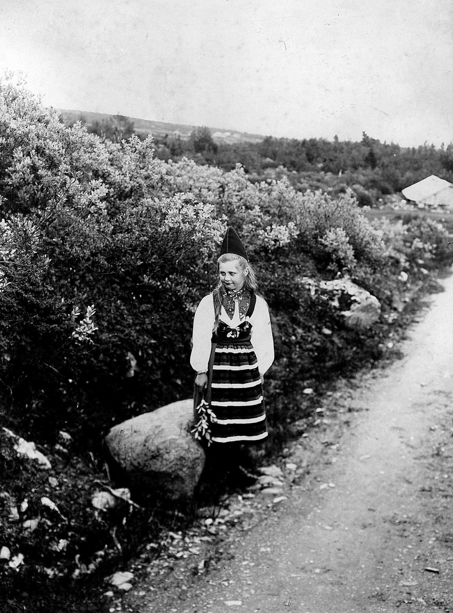 Pike i veikant, ukjent sted, i drakt fra Rättvik, Dalarne, Sverige.
Serie tatt av Robert Collett (1842-1913), amatørfotograf og professor i zoologi. 