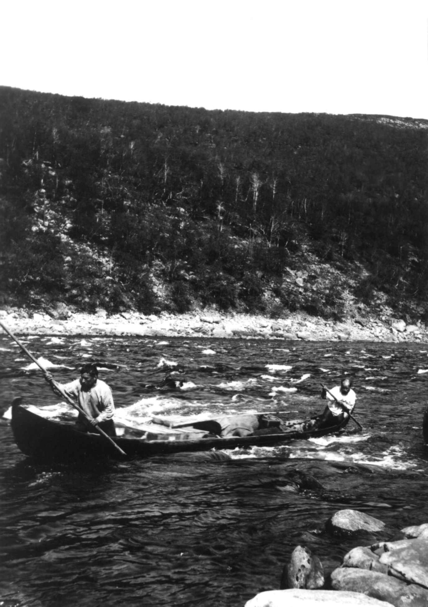 Staking av elvebåt oppover stryket i Tanaelven 1920.