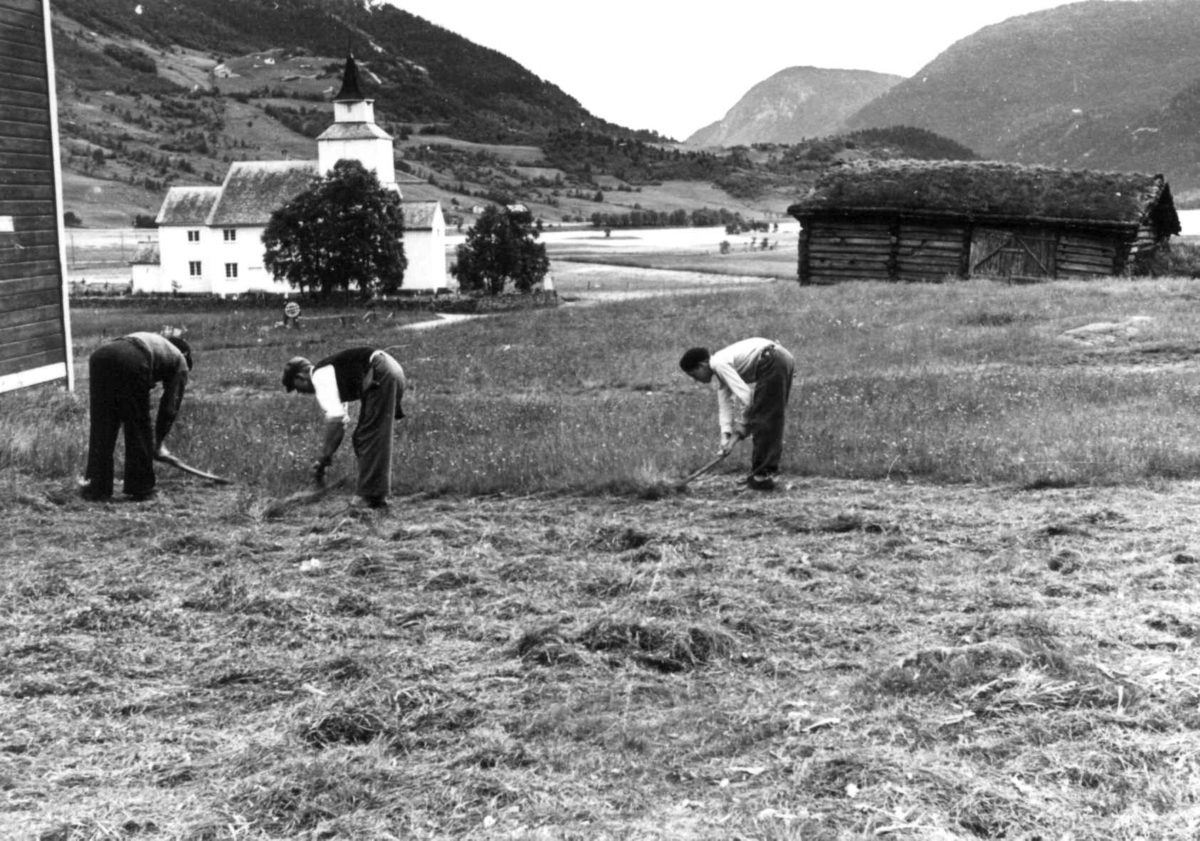 Valle 1939. Torleiv Åkre og sønnene hans slår høy med stuttorvsljå på den gamle "Sjei-vodden". En kirke i bakgrunnen.