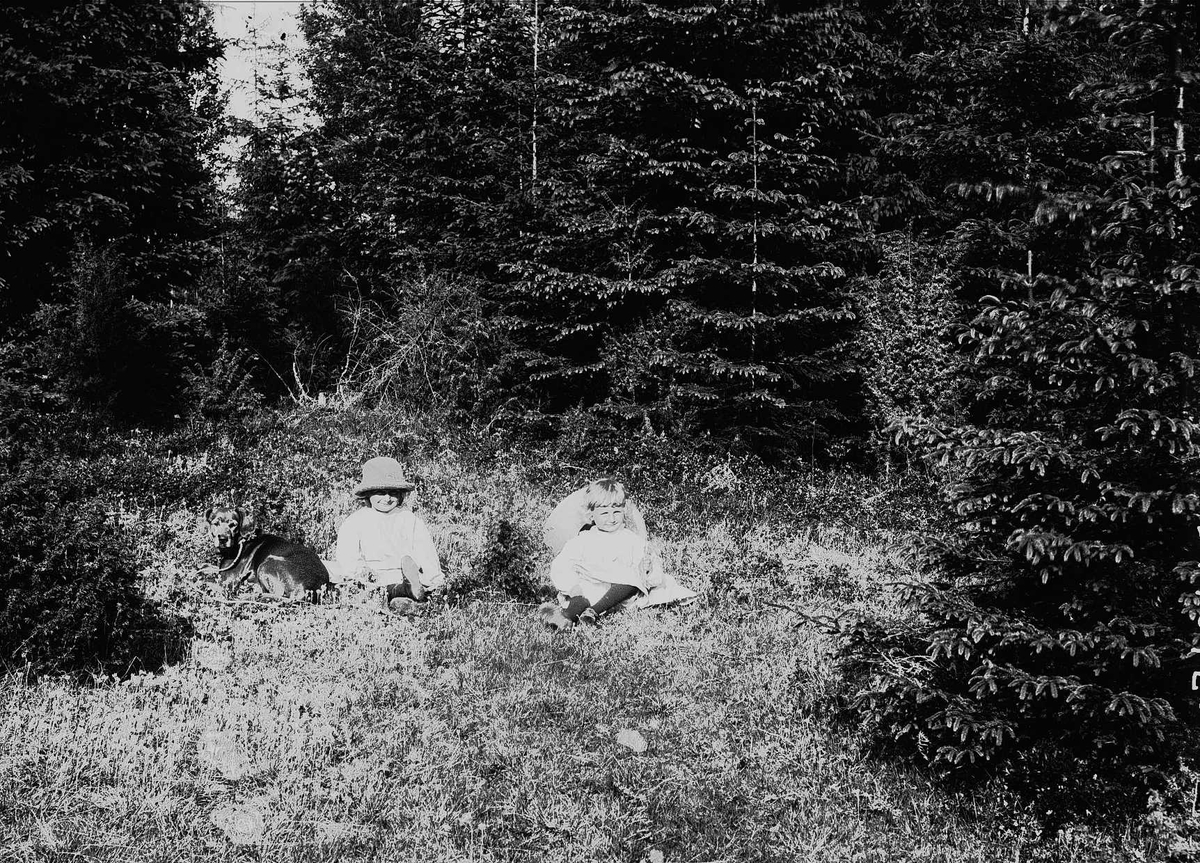 Karen og Gudrun Q. Wiborg med hunden Freya sitter i gresset, Gamle Digerud, Frogn, Akershus, 1899.