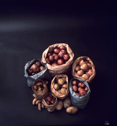 Sekker med forskjellige potetsorter. Illustrasjonsbilde for 