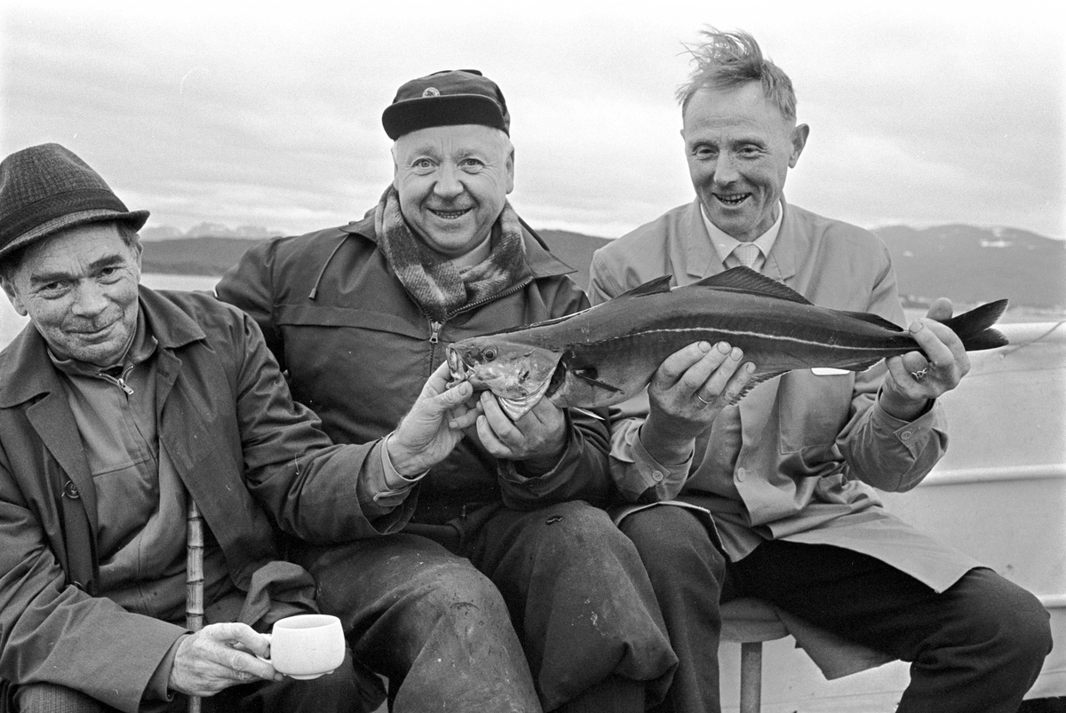 Serie. Dagbladarrangement (Gullfisk i Ålesund).
Fotografert 1967.



