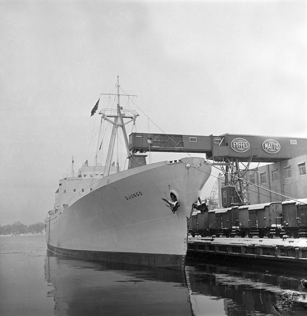 Den franske "bananbåten" M/S "Djungo" ligger til kai. Fotografert 31. jan. 1958.