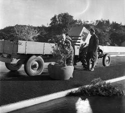 Nydalsbrua, Oslo, september 1955. Traktor, tilhenger og menn