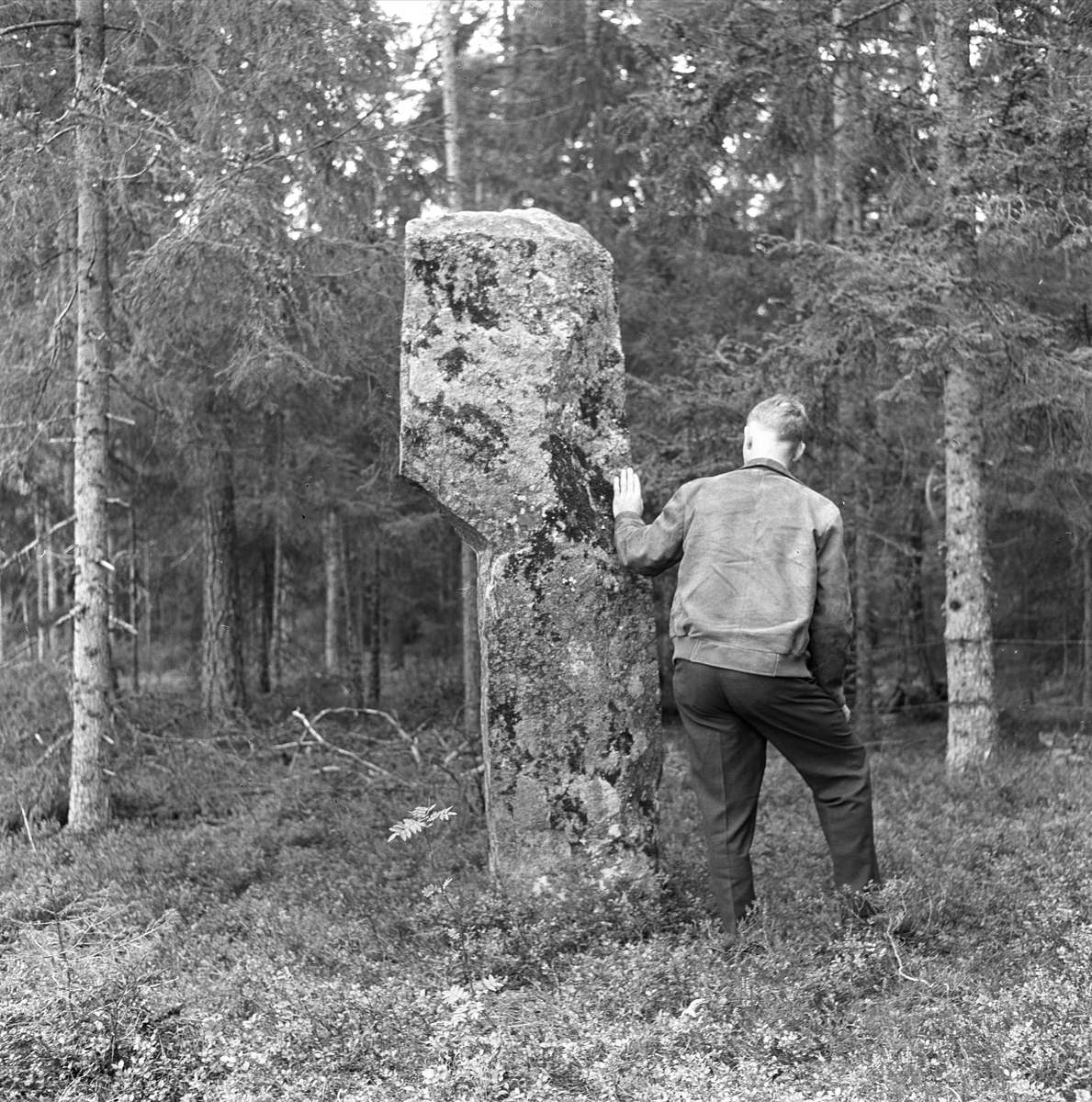 Fra steinringene på Gunnarstorp jernaldergravfelt ved Ullerøy i Sarpsborg. Mann ved steinbauta fotografert 26.08.1960.