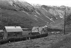 Fra Sogn 01.08.1967. Kvinner som steller med høyet i Josteda