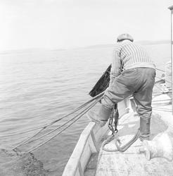 Son, 10.06.1961, reketråler, Kjøvangen, Oslofjord, fisker i 