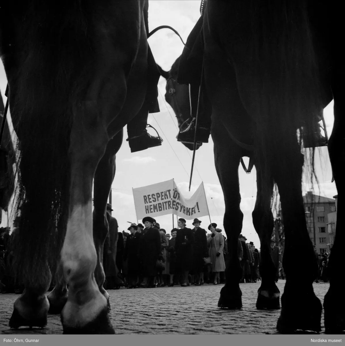 Förstamajdemonstration. Hästar i förgrunden, i bakgrunden demonstranter med banderoll "Respekt för hembiträdesyrket".