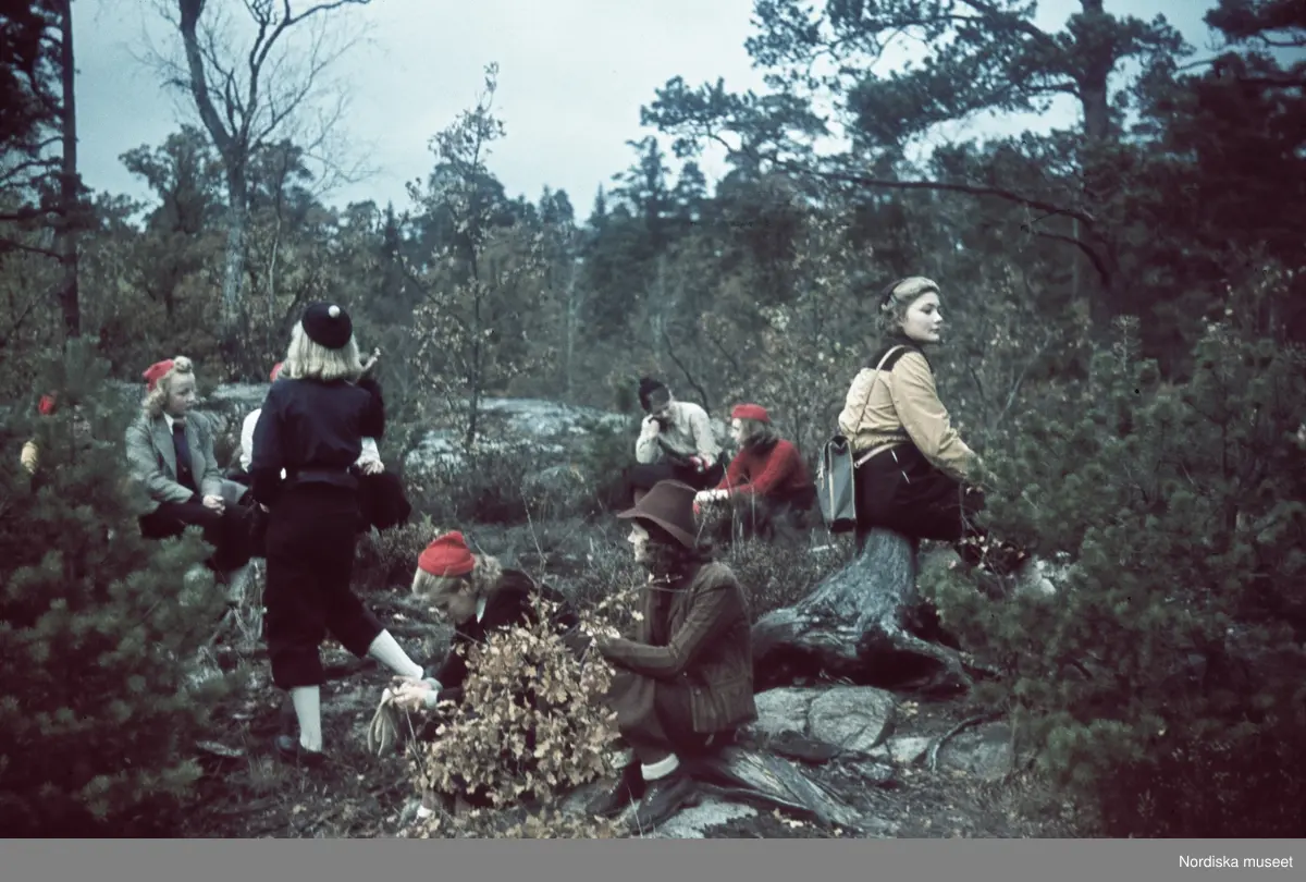 en-grupp-friluftskl-dda-m-nniskor-tar-en-rast-i-skogen-nordiska