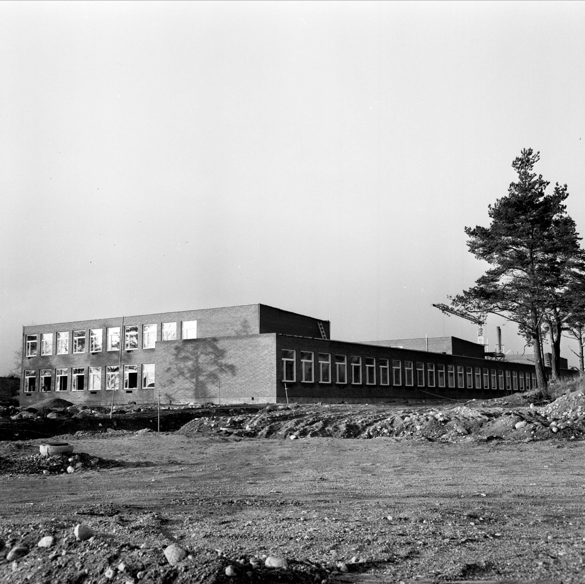 "Högstadiet i Tierp", Uppland, november 1966
