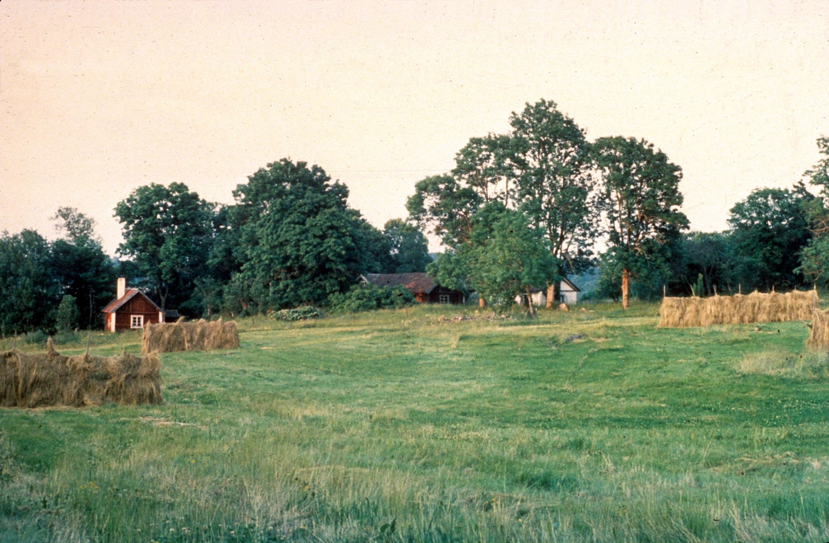 Vy över ängsmark i Grytbol, Funbo socken, Uppland 1957