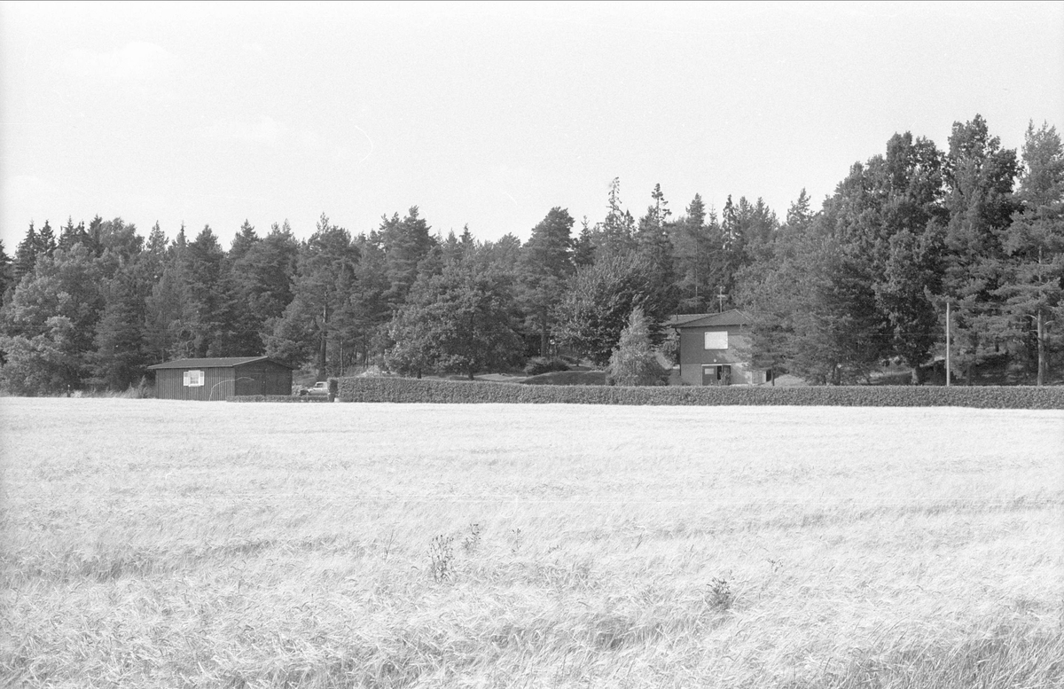 Vy över Alsta 1:24, Börje socken, Uppland 1983