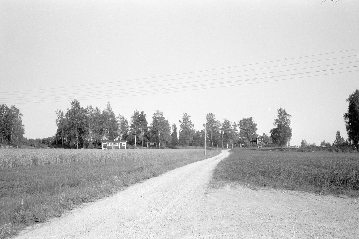 Vy från väster över Fullerö 23:22, Ekebylund, Gamla Uppsala socken, Uppland 1977