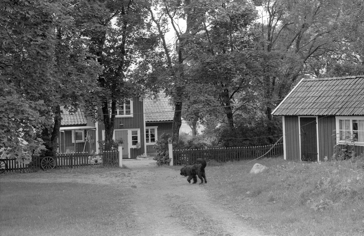 Bostadshus och brygghus, Söderby 12:7, Danmarks socken, Uppland 1977