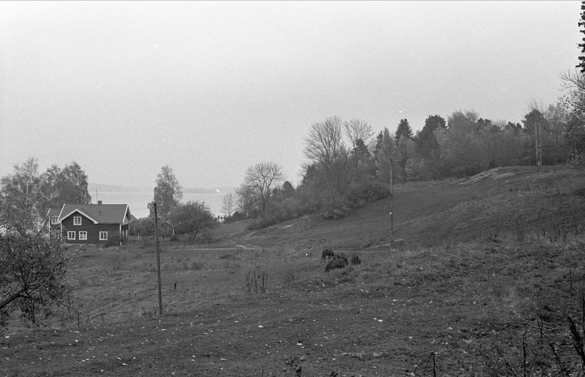 Vy över Dalby 16:1, Dalby socken, Uppland 1984