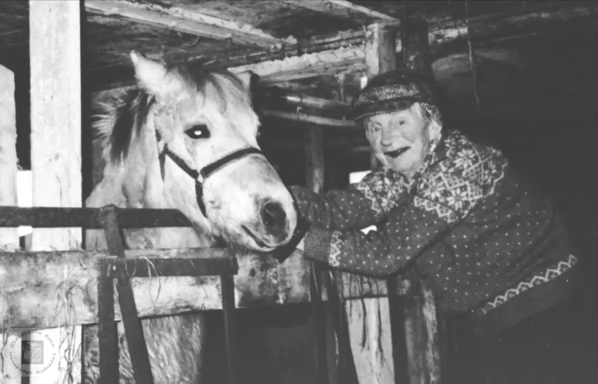 Olav Finsådal med hesten.