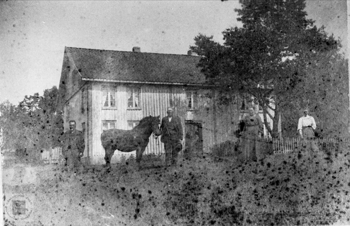 Hestevising på Høye i Øyslebø.