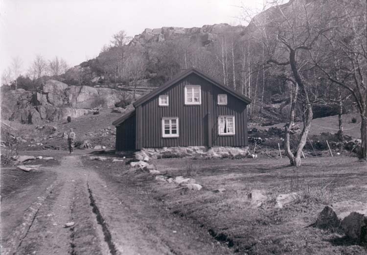 Enligt text som medföljde bilden "Norr Hamre, huset, 1918/1919".