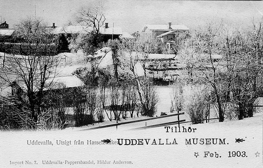 Tryckt text på vykortets framsida: "Uddevalla Utsigt från Hasselbacken".