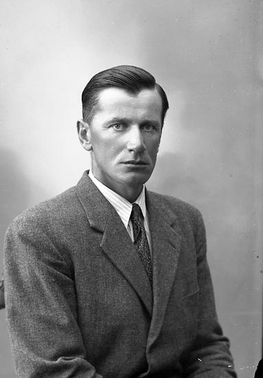 Enligt fotografens journal nr 7 1944-1950: "Johansson, Herr Sven Högenorum Här ".