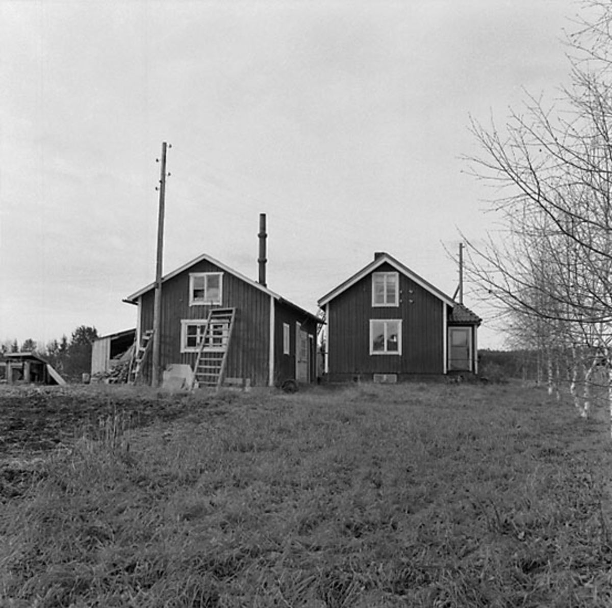 Fotografiet är taget: 1957

Båtbyggeri norra Sverige innehåller intreörer, 165 s.v. kop.
18 neg. till 18 av kop. finns i neg.ark. nr. 1929:1-2 filmnr. 119 och 120.
Format 6x6 10x10