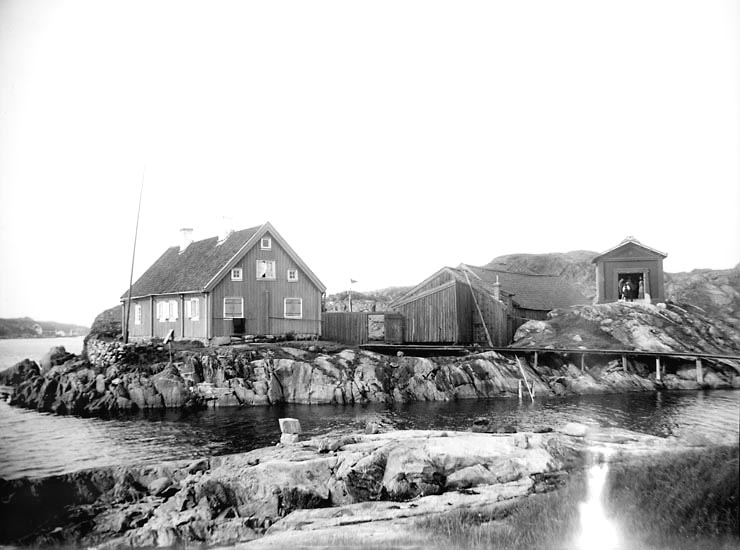 Trankokeriet på Kålhuvudet, Tjörn 1897