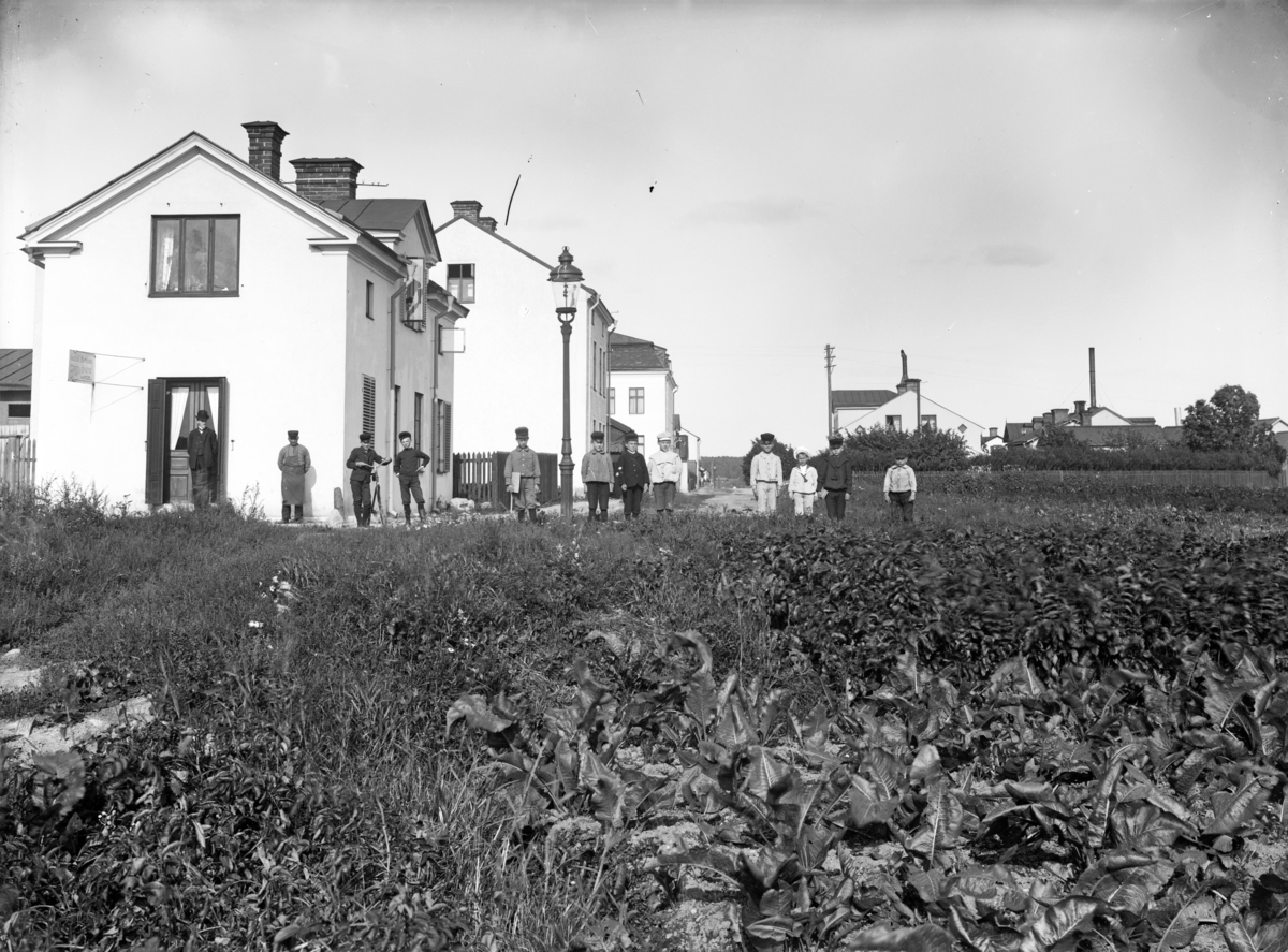 Östra Ringgatan, män och skolpojkar(?), Enköping, vy ungefär från nuvarande Ågatan mot nordost, ca 1910. I förgrunden pepparrotsodling.