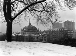 Utsikt fra Abelhaugen.