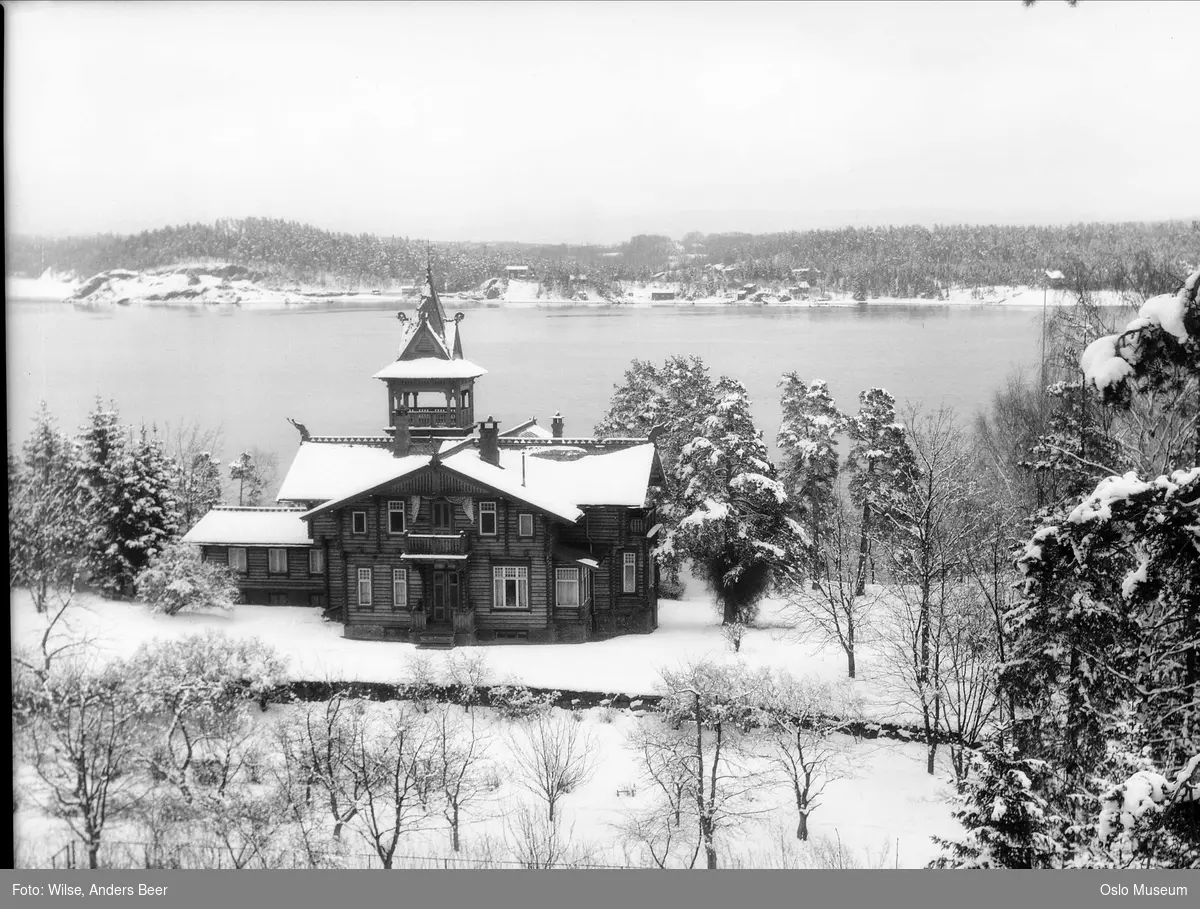 utsikt fra villa Randshøy, skog, fjord, villa, snø