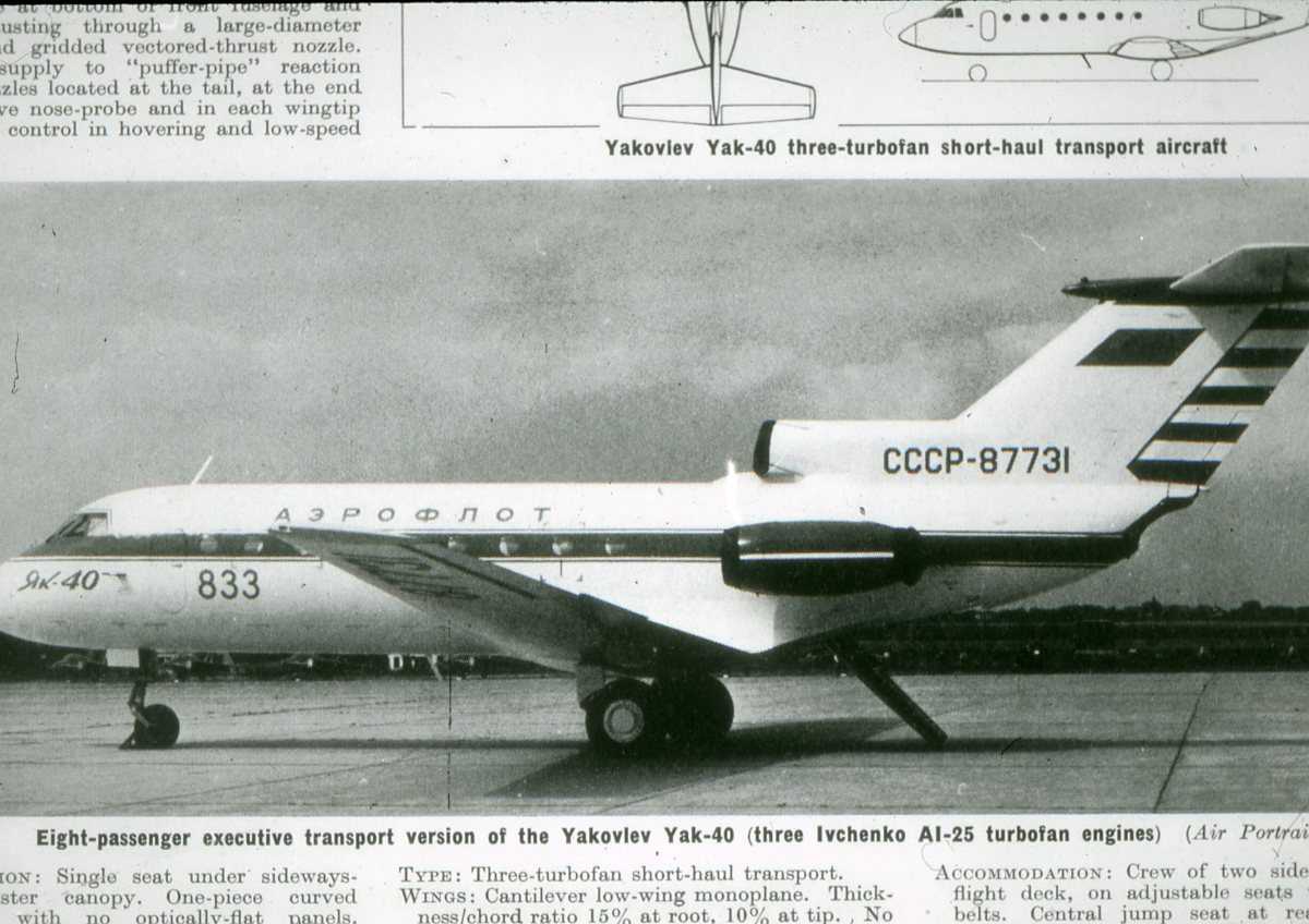 Russisk fly av typen Codling.