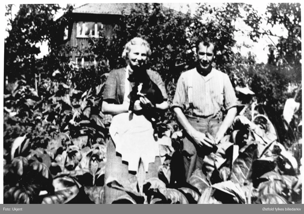 Tobakksdyrking i hagen på Elvestad i Skiptvet  1944. Ruth og Johannes Haltuff.