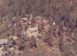 våningshus, trær, haver, vei, jorder,