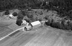 Gården Vister i Eidsberg, flyfoto 4. august  1951.