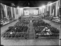 Blomsterutstilling og interiør fra Phønix selskapslokale i F