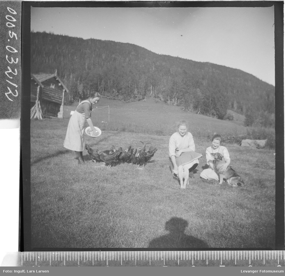 Gruppebilde av tre kvinner med husdyr.