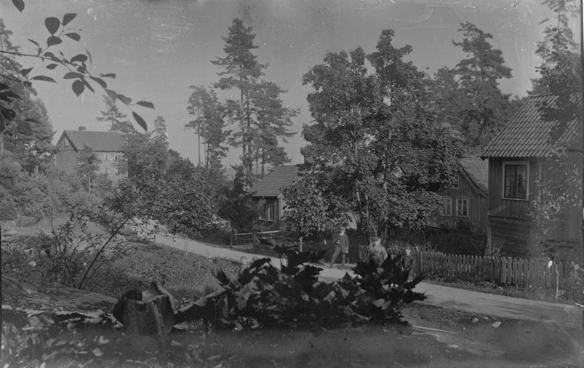 Parti fra Maistanga  1909?. Kragerø