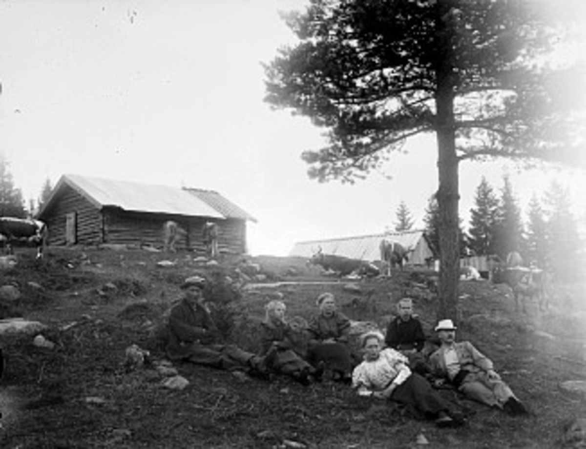 Gruppe ved seter. Seteren under Odds skibakke, Gjerpen. Til høyre Carl F. Berthelsen. Anna Høgli, datteren, i hvit bluse.