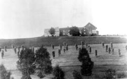 Kornproduksjon i Henning, Steinkjer