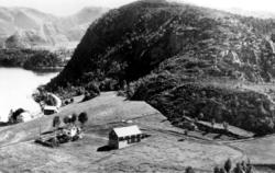 Småbruket Korsnesøren ved Kolvereid