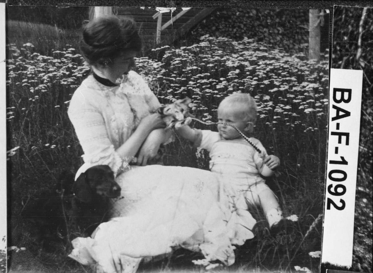 Diverse fotografi innrammet med eikeramme. Den er dekorert med metallriller.