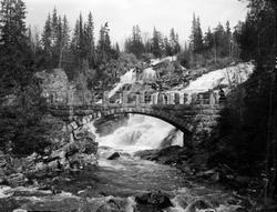 Mesnaelva. Colletts bru. Foss. Menn.