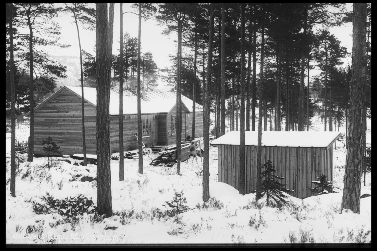 Arendal Fossekompani i begynnelsen av 1900-tallet
CD merket 0468, Bilde: 89
Beskrivelse: Bygninger i Nisser