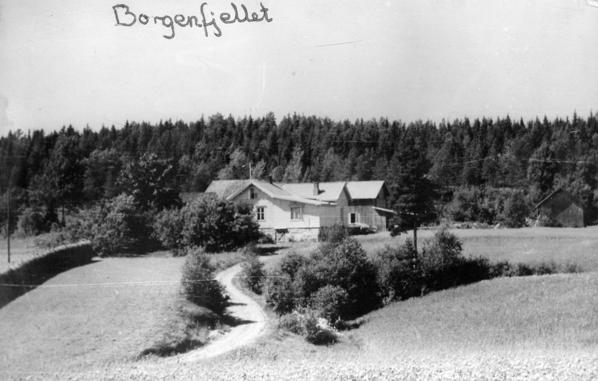 Johanne Borgens fødested, Borgenfjellet.