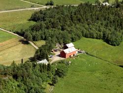 Garden til Torstein Mordal