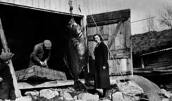 Bildet er tatt ca. 1934 foran Sjøgardsnaustet i Eidsvåg. Kve