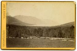 Eidsvågen sett fra Toven.