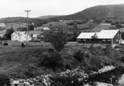 Åsagardene i bakgrunnen..(Bilder brukt i "Gards- og ættesoge