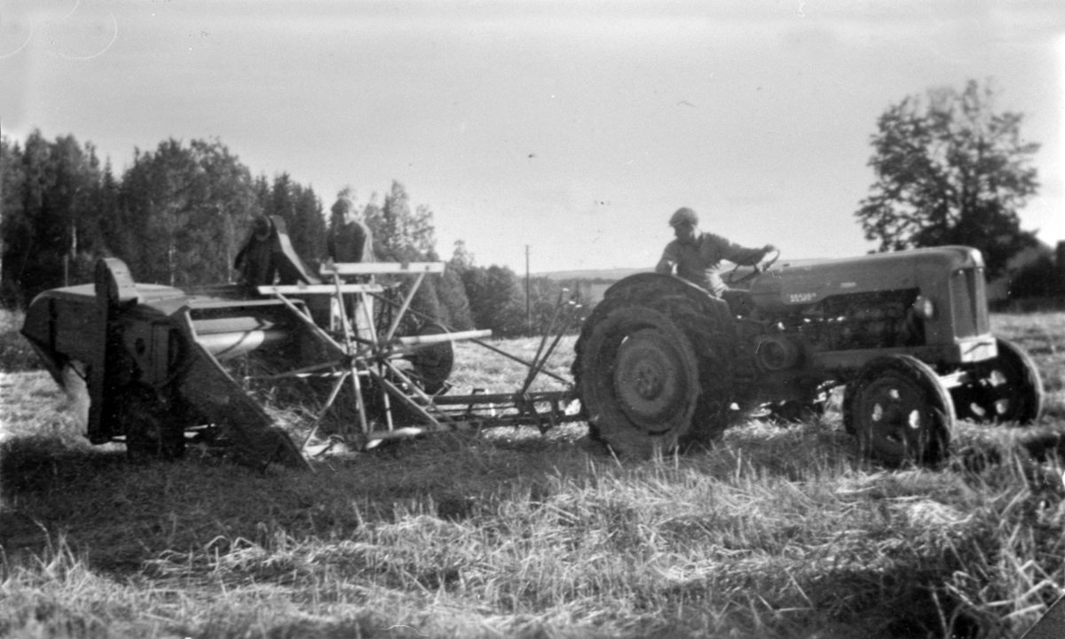 Skuronn på Tørud gård, Ringsaker. Standard traktor med selvbinder.